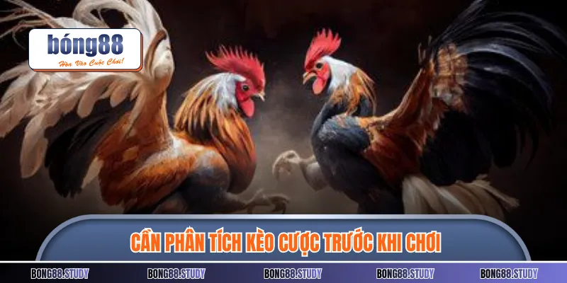 Cần phân tích kèo cược trước khi chơi