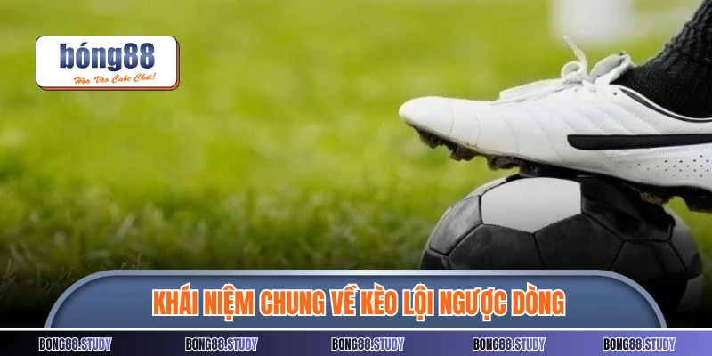 Khái niệm chung về kèo lội ngược dòng