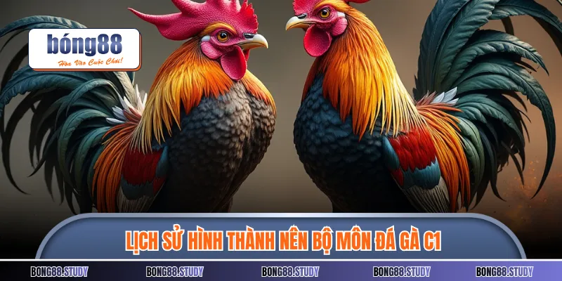 Lịch sử hình thành nên bộ môn đá gà C1