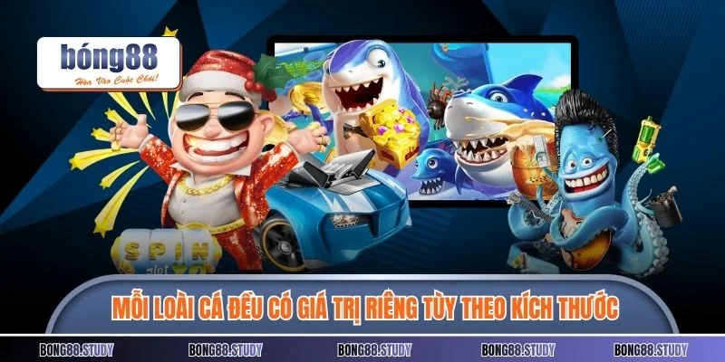 Mỗi loài cá đều có giá trị riêng tùy theo kích thước