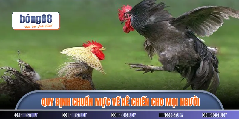 Quy định chuẩn mực về kê chiến cho mọi người
